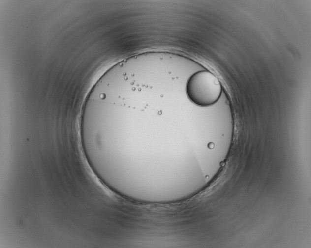 X0000111930906200909071235