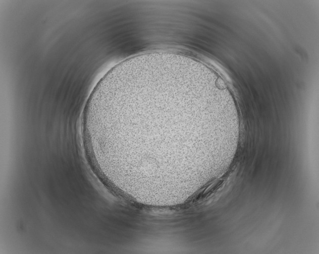 X0000111930907200909071235