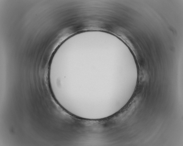 X0000111930909200909071235