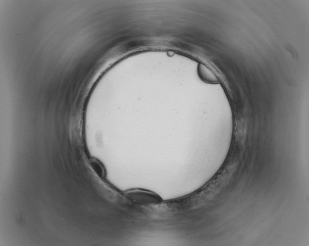 X0000111930911200909071235