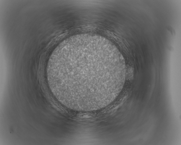 X0000111930913200909071235