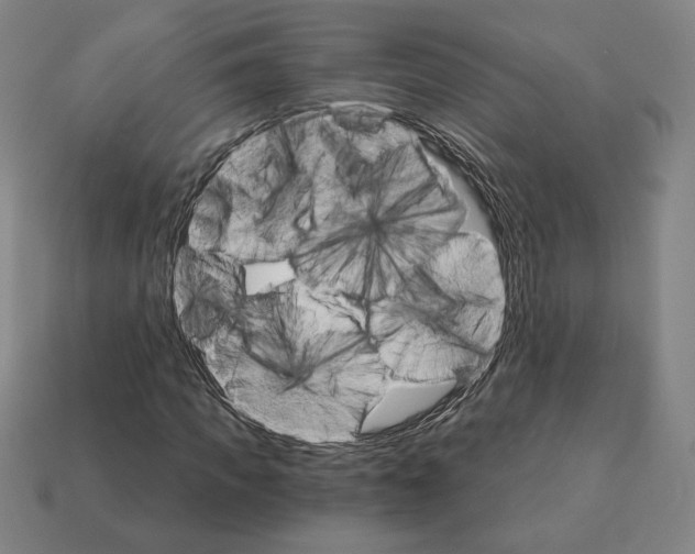 X0000111930917200909071235