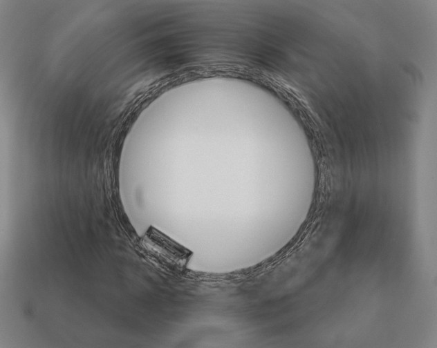 X0000111930918200909071235