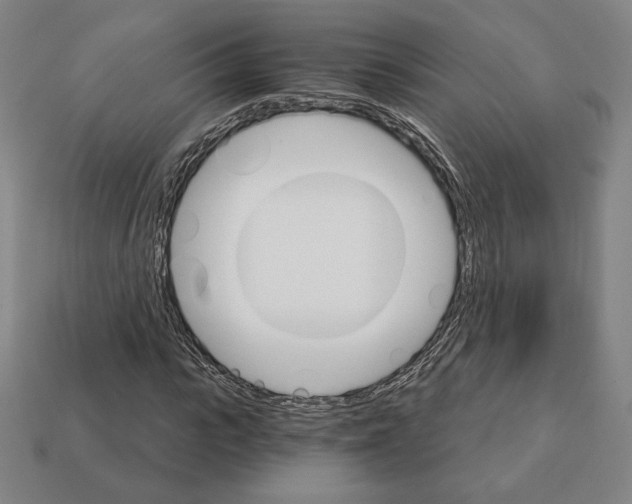 X0000111930919200909071235