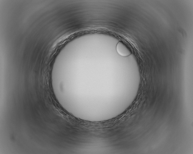 X0000111930920200909071235