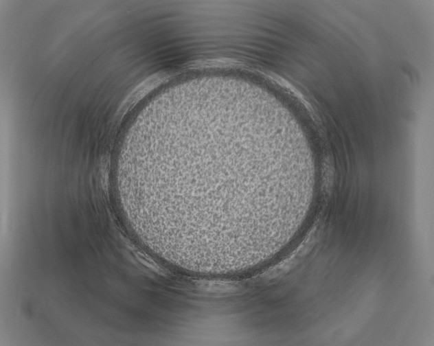 X0000111930921200909071235