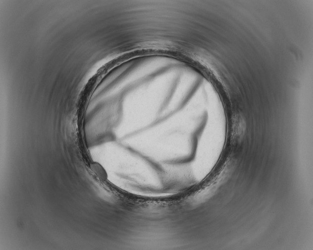 X0000111930923200909071235