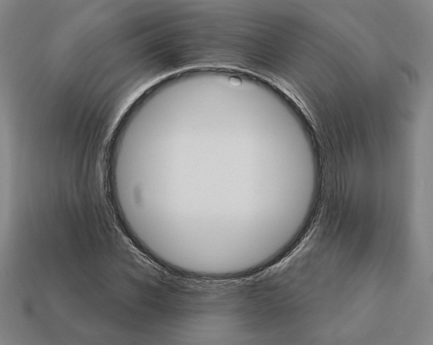 X0000111930926200909071235