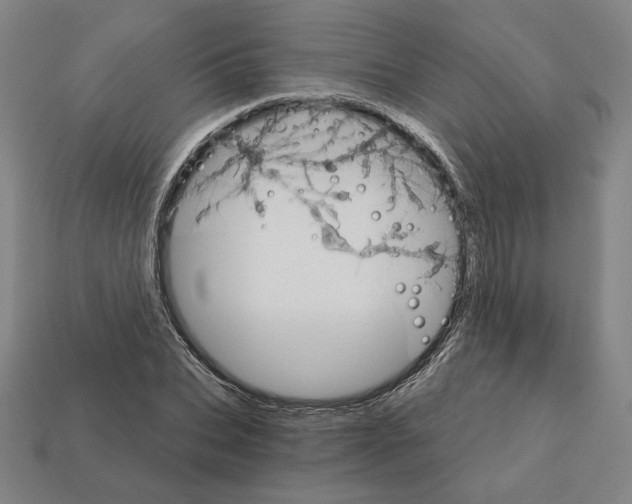 X0000111930927200909071235