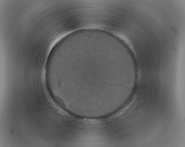 X0000111930928200909071235