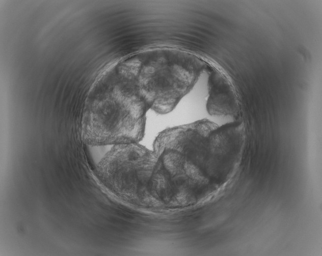 X0000111930929200909071235