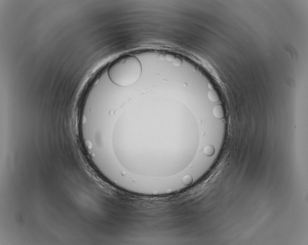 X0000111930931200909071235