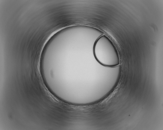 X0000111930932200909071235