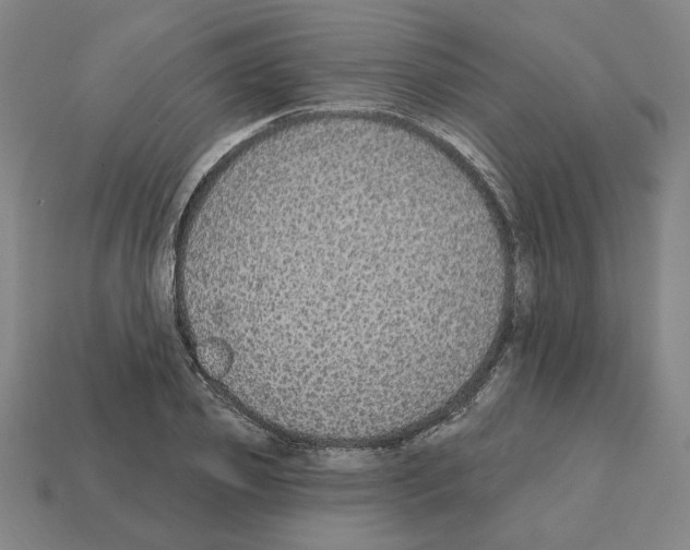 X0000111930933200909071235