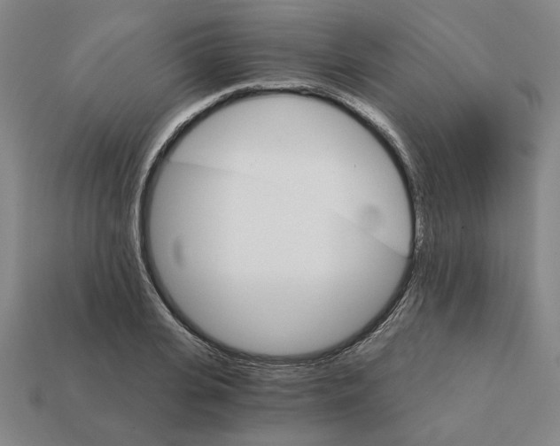 X0000111930935200909071235