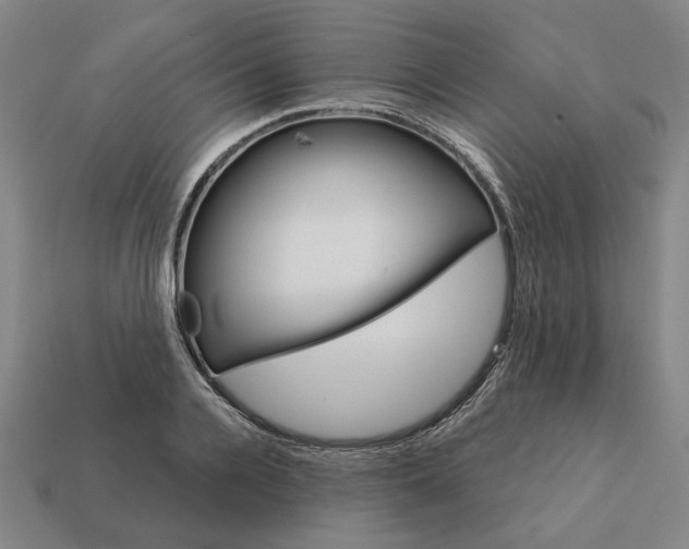 X0000111930936200909071235