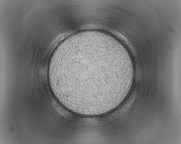 X0000111930937200909071235