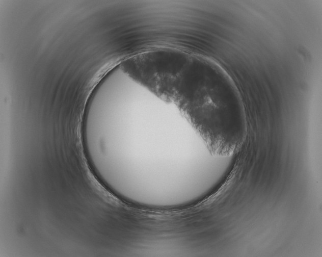 X0000111930938200909071235