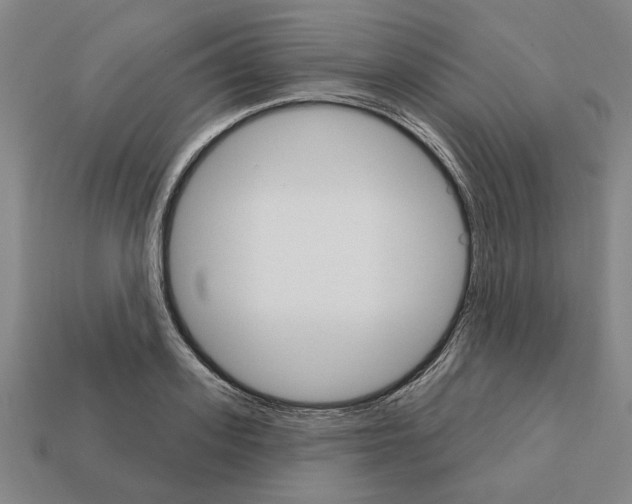 X0000111930939200909071235