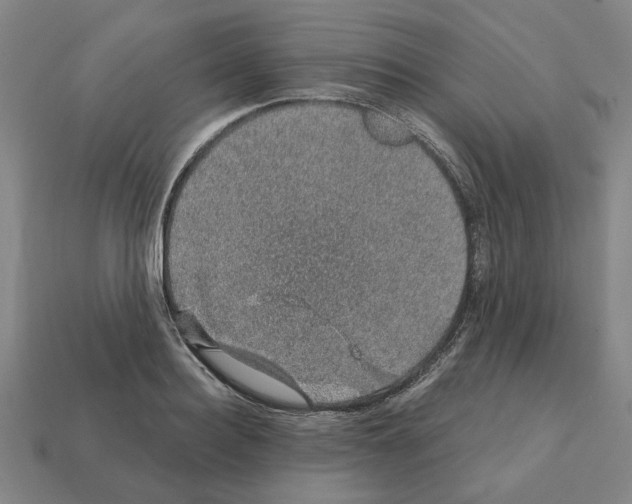 X0000111930940200909071235