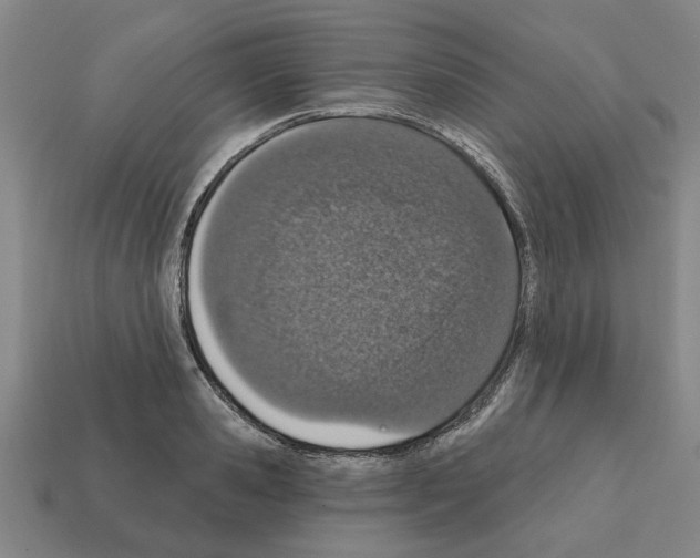 X0000111930941200909071235