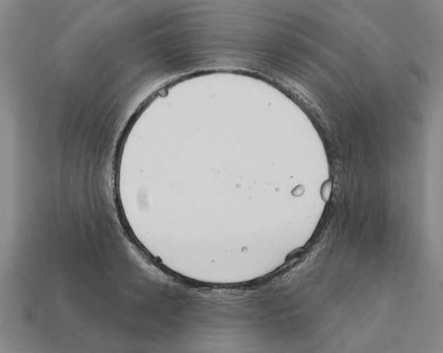 X0000111930942200909071235