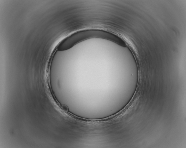 X0000111930944200909071235