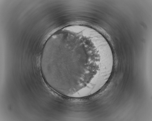 X0000111930945200909071235