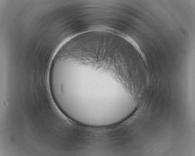 X0000111930947200909071235