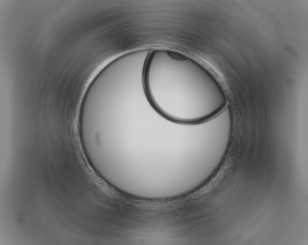 X0000111930948200909071235