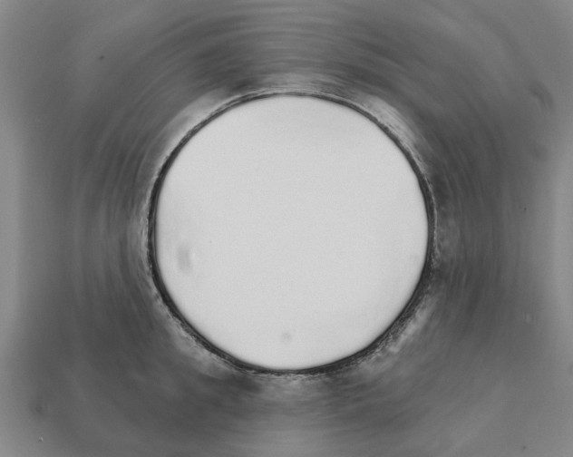 X0000111930949200909071235