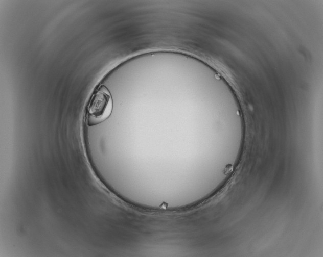 X0000111930950200909071235