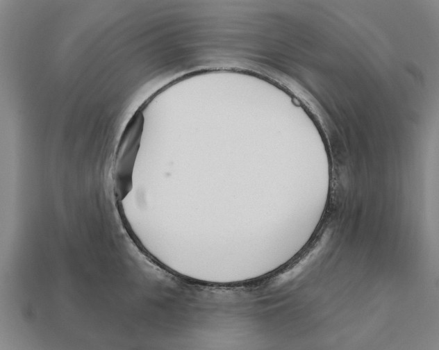 X0000111930951200909071235