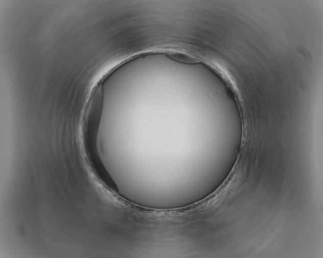 X0000111930952200909071235