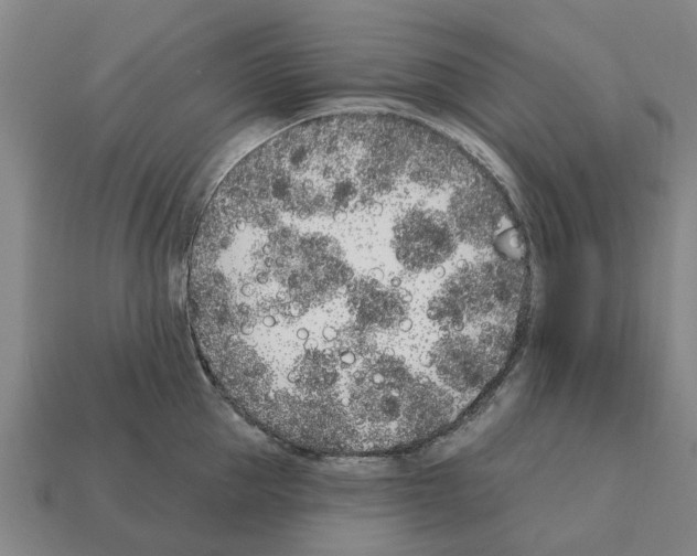 X0000111930953200909071235