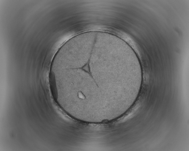 X0000111930954200909071235