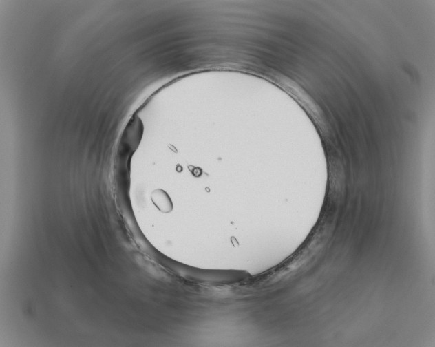 X0000111930956200909071235