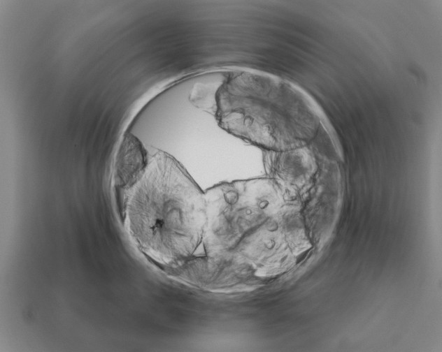 X0000111930957200909071235