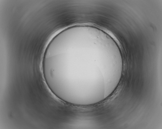 X0000111930959200909071235