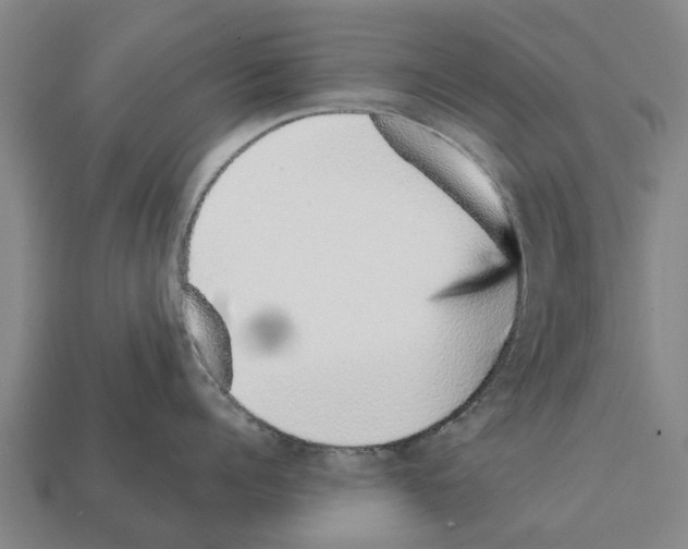 X0000111930960200909071235