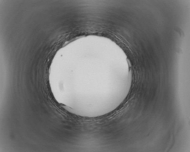 X0000111930961200909071235