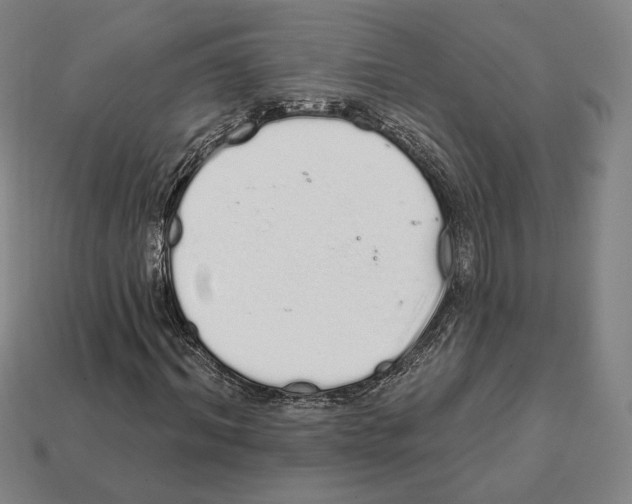 X0000111930964200909071235