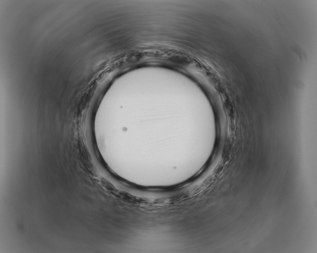 X0000111930965200909071235