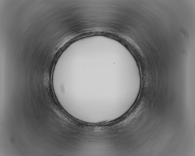 X0000111930969200909071235