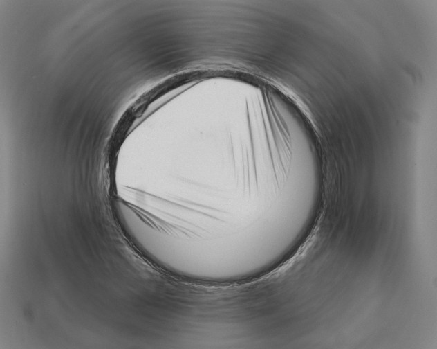 X0000111930973200909071235