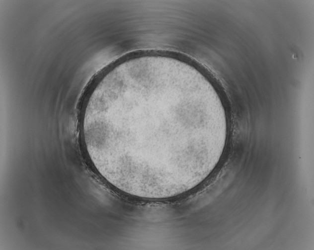 X0000111930974200909071235