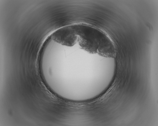 X0000111930975200909071235