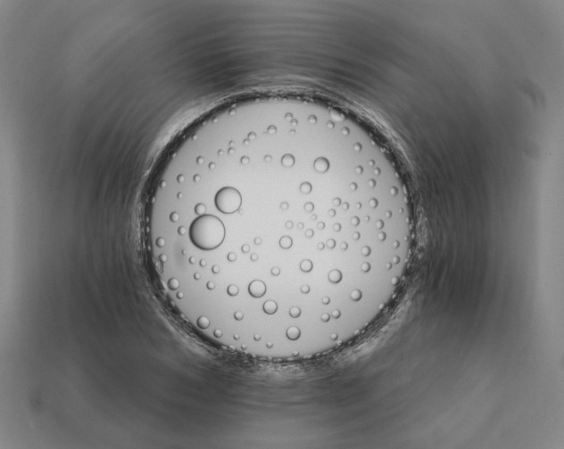 X0000111930978200909071235