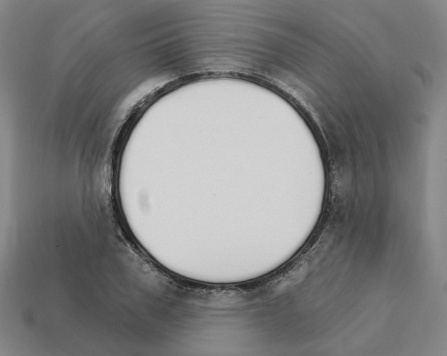 X0000111930979200909071235