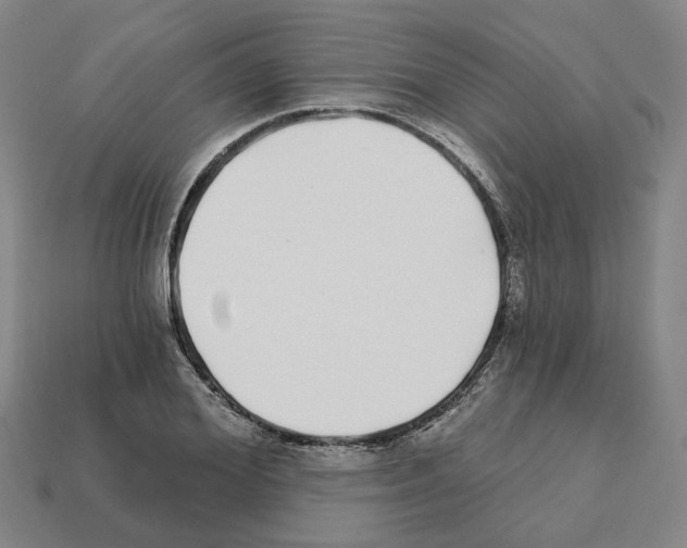 X0000111930980200909071235